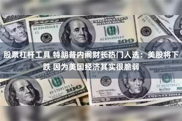 股票杠杆工具 特朗普内阁财长热门人选：美股将下跌 因为美国经济其实很脆弱