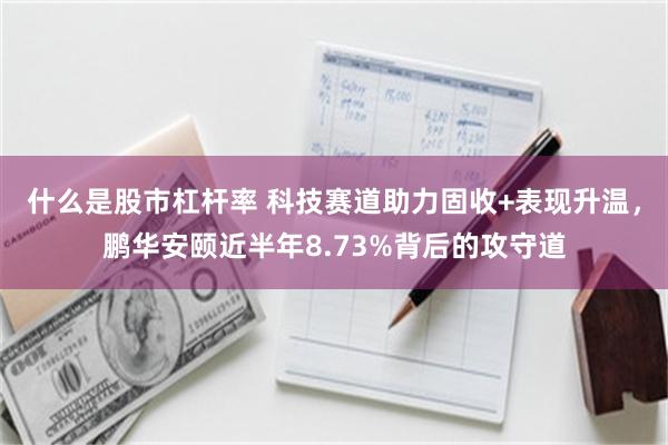 什么是股市杠杆率 科技赛道助力固收+表现升温，鹏华安颐近半年8.73%背后的攻守道