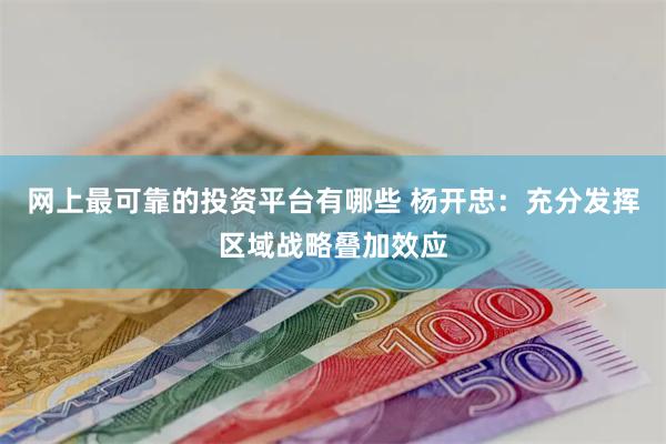 网上最可靠的投资平台有哪些 杨开忠：充分发挥区域战略叠加效应